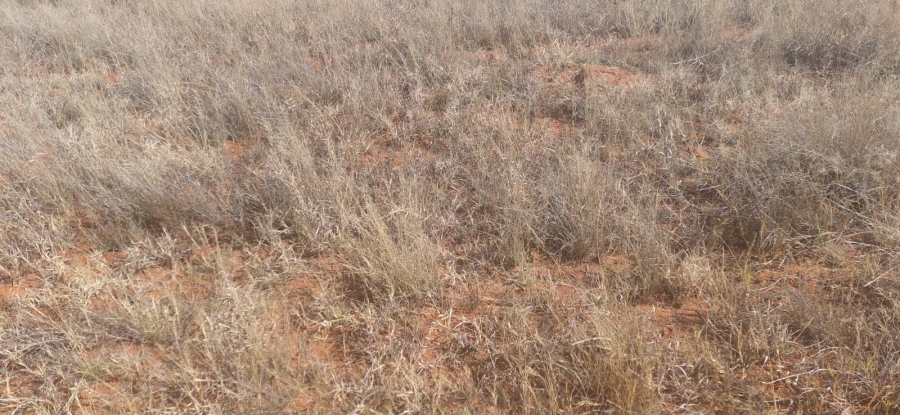 Commercial Property for Sale in Warrenton Northern Cape